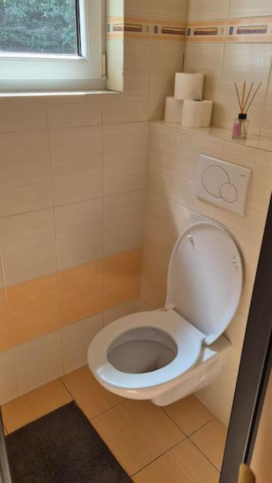 Chaloupka Amalka Apartment Roznov pod Radhostem Luaran gambar